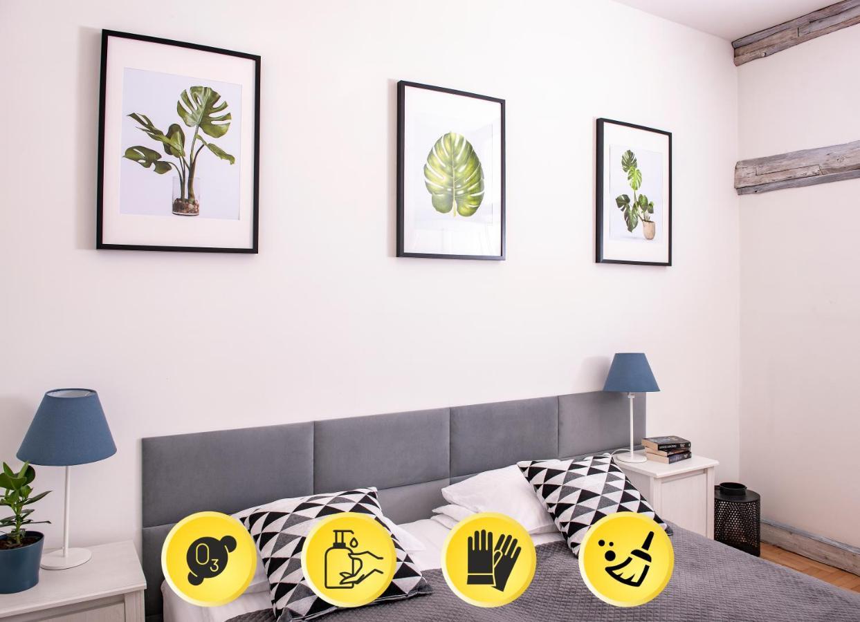 3D Florianska 15 Apartament 克拉科夫 外观 照片